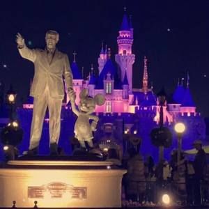 Meet your Posher, Maggie